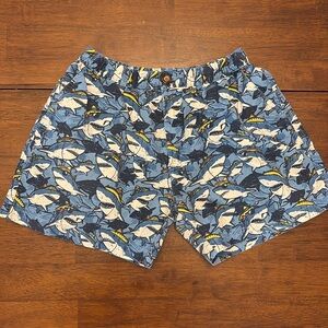 Chubbies Classic Stretch Shorts 
Men L / 5.5” inseam
Discontinued pattern